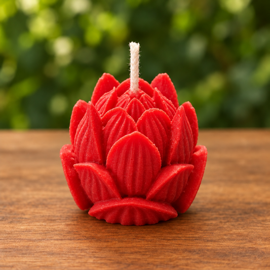 Proposition de la bougie Fleur de Lotus rouge redressée