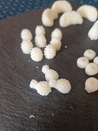 Fondant format Fruit