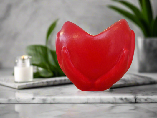 Contenant rouge en forme de mains entourant un cœur, posé sur une surface marbrée avec une plante en arrière-plan.
